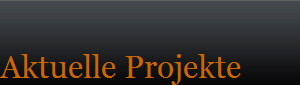 Aktuelle Projekte