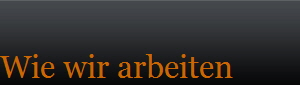 Wie wir arbeiten